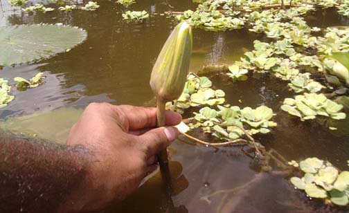 17/05/2012 - 12:40পূর্বাহ্ন