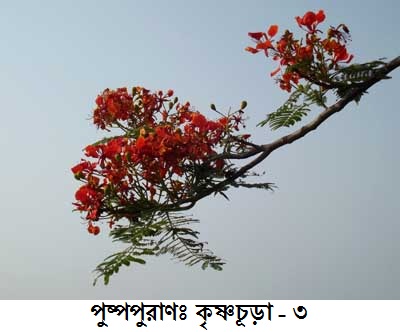 27/01/2012 - 9:56অপরাহ্ন