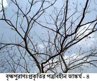 27/01/2012 - 9:56অপরাহ্ন