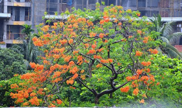 24/05/2011 - 2:47পূর্বাহ্ন