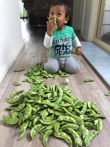 24/08/2007 - 2:03পূর্বাহ্ন