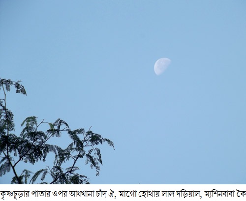 27/01/2012 - 9:56অপরাহ্ন