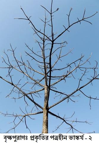 27/01/2012 - 9:56অপরাহ্ন