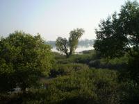 জাহ্‌রা
