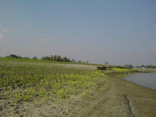 ডফসফ