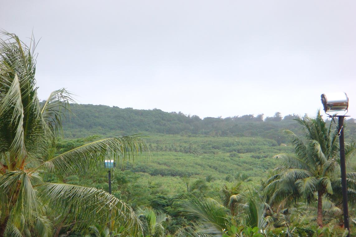 পোর্টের পথে পাহাড়ের ছবি