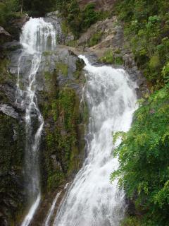"ক্যানস" (Cairns) ছবি ১