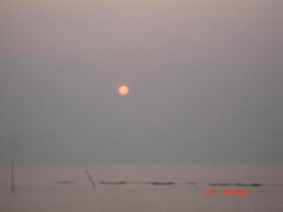 কুয়াকাটা 