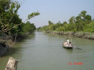 ফাতরা বনে ঢোকা হচ্ছে