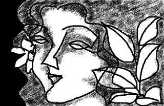 ছবি: লেখক