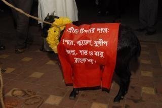 কিছু কই না