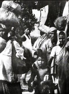 ছবি-৩