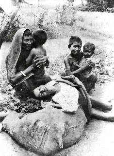 ছবি-৫ 