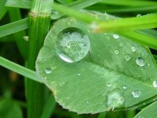 Raindrop