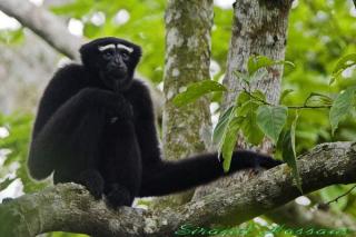 Katta kokrakli 30 yoshli porno