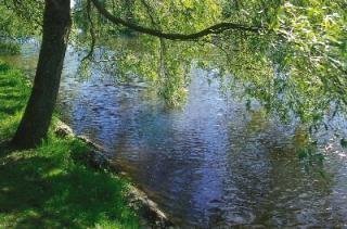 Small_River