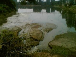 রাজউক ওয়ারিদের রাজধানী উন্নয়ন, নাকি?