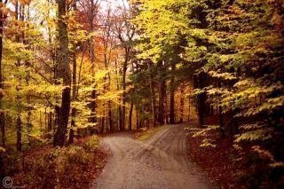 yellow road